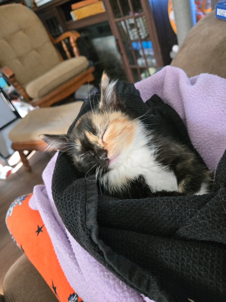 Image uploaded by Kenni