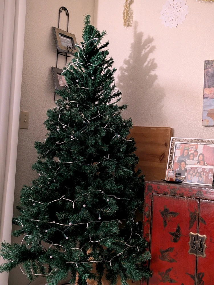 Image uploaded by Kea