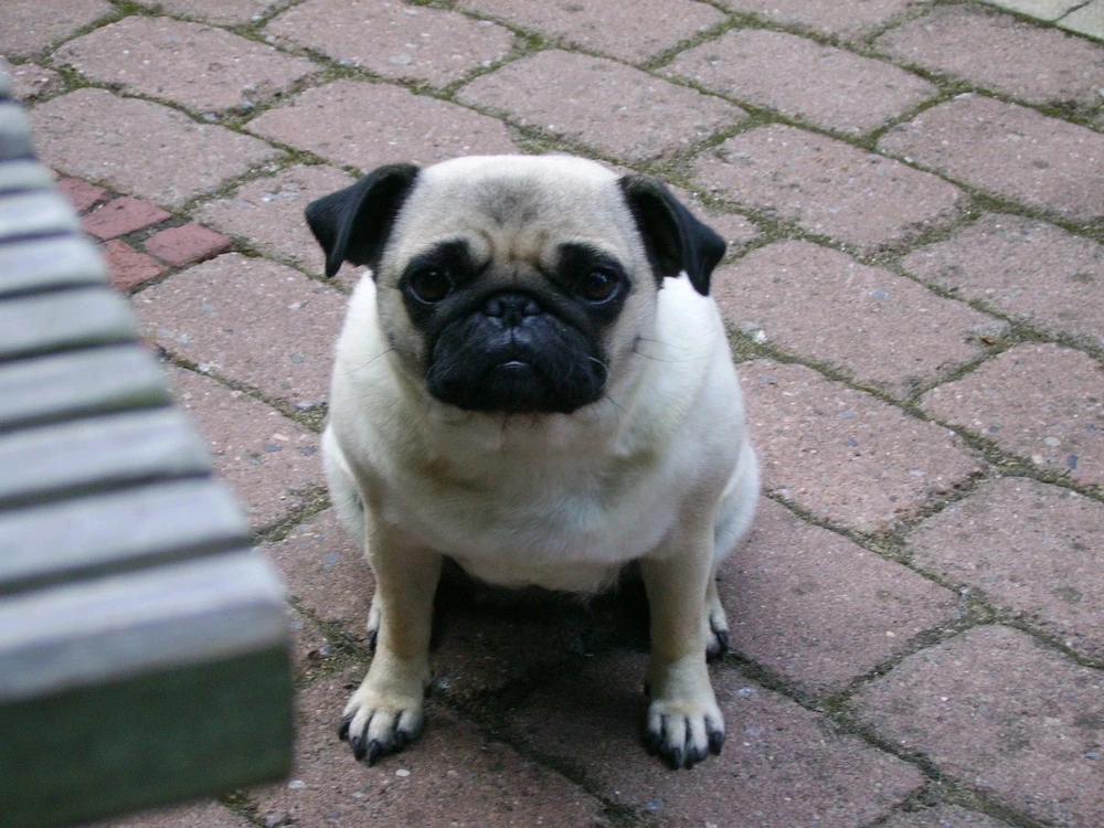 Bild hochgeladen von Mathis