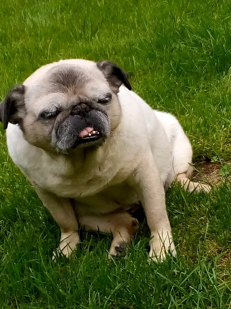 Bild hochgeladen von Mathis