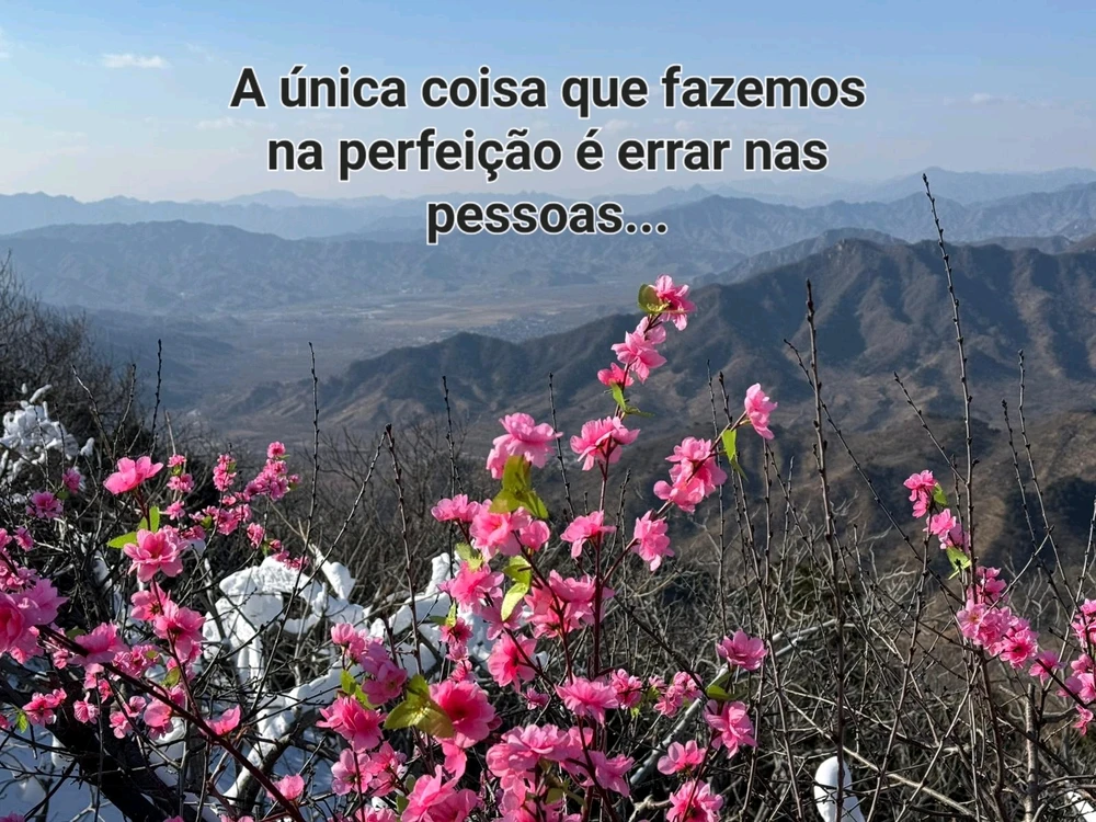 The only thing we do perfectly is make mistakes about people...