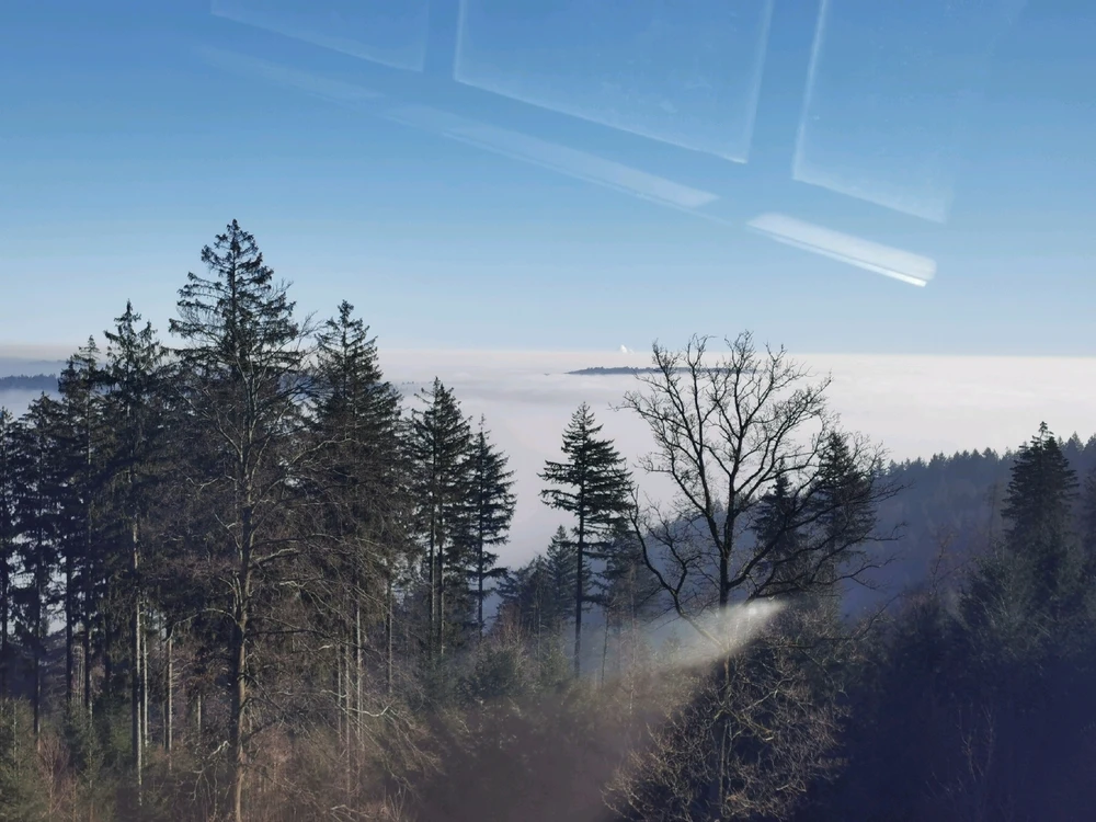 GIF hochgeladen von Andreas