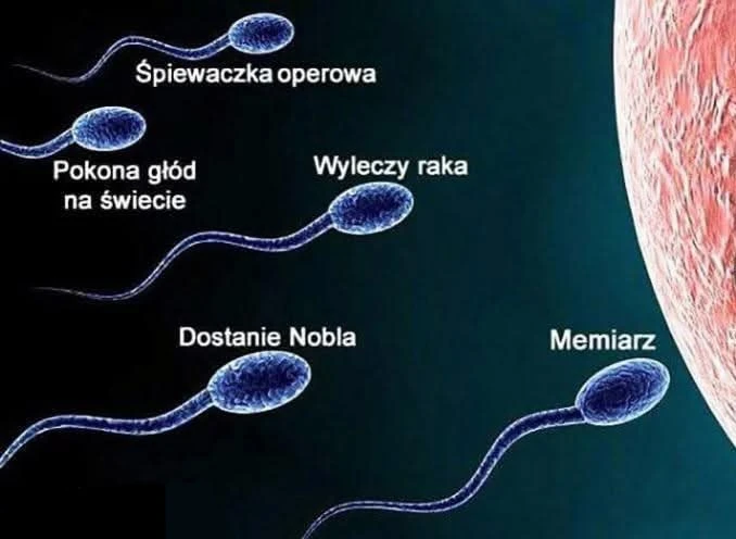 Zdjęcie dodane przez Damian