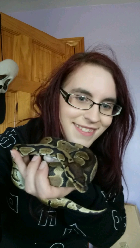 Happy Lunar New Year