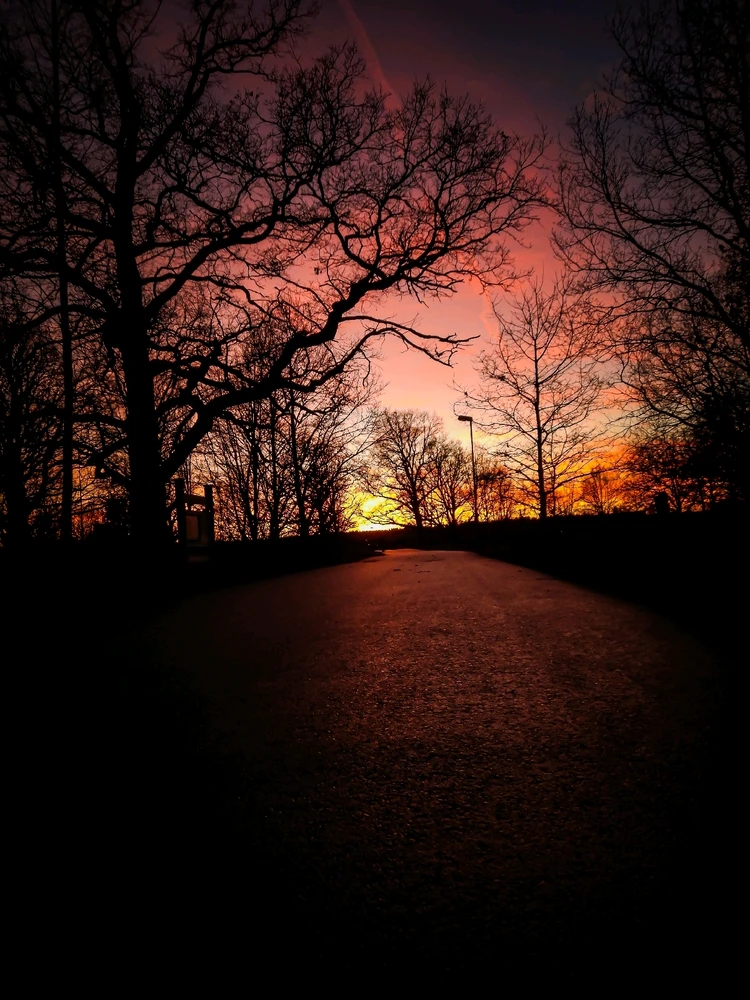 GIF uploaded by Ksenija Krantz