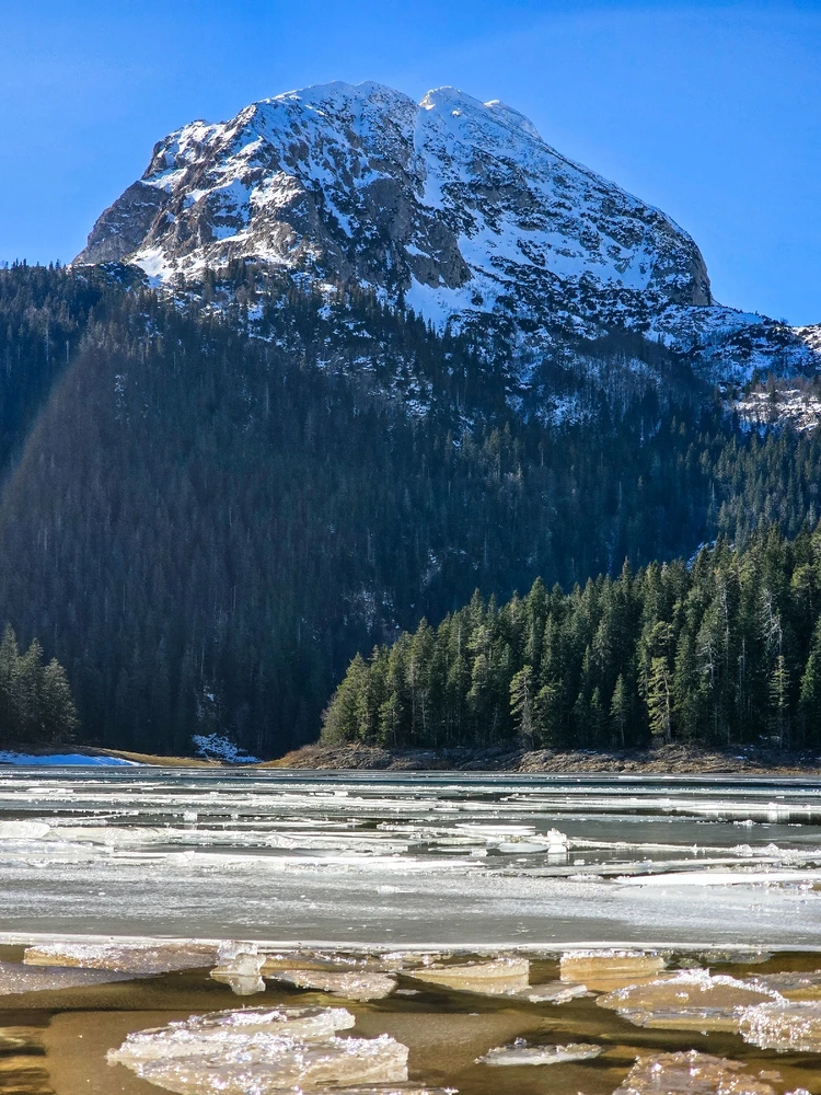 GIF uploaded by Mihailo