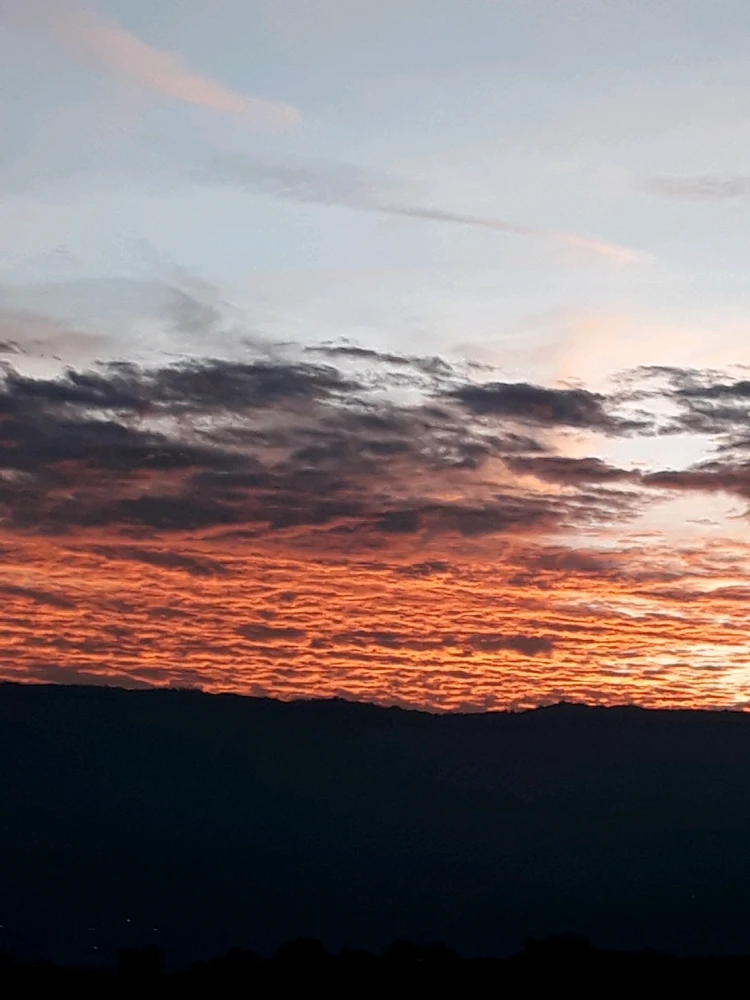 Image uploaded by Ycac