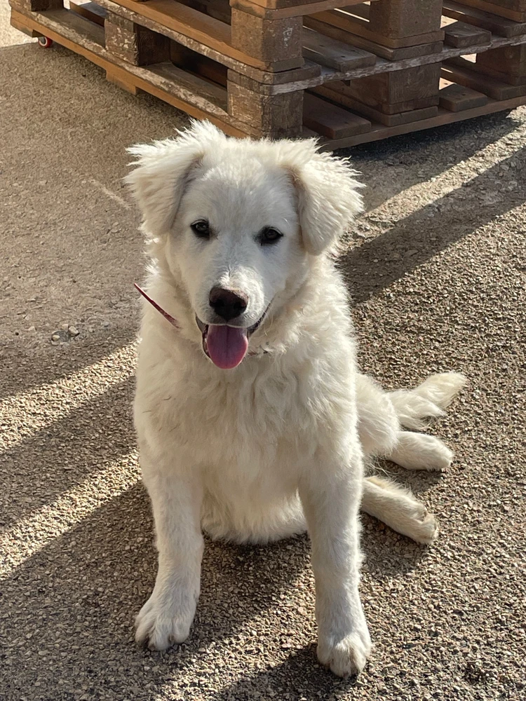 GIF caricata da Flavio