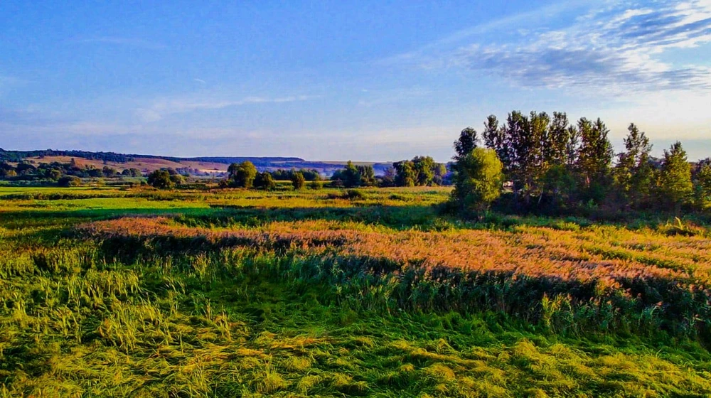 Гіфку завантажив Nilk