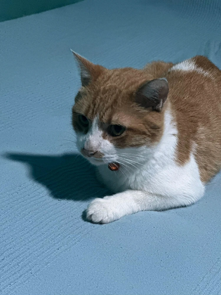 NiΓ±o preparΓ‘ndose para atacar