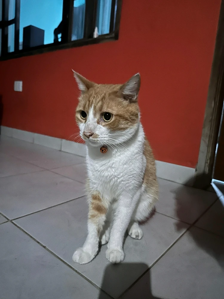 Image uploaded by Camila