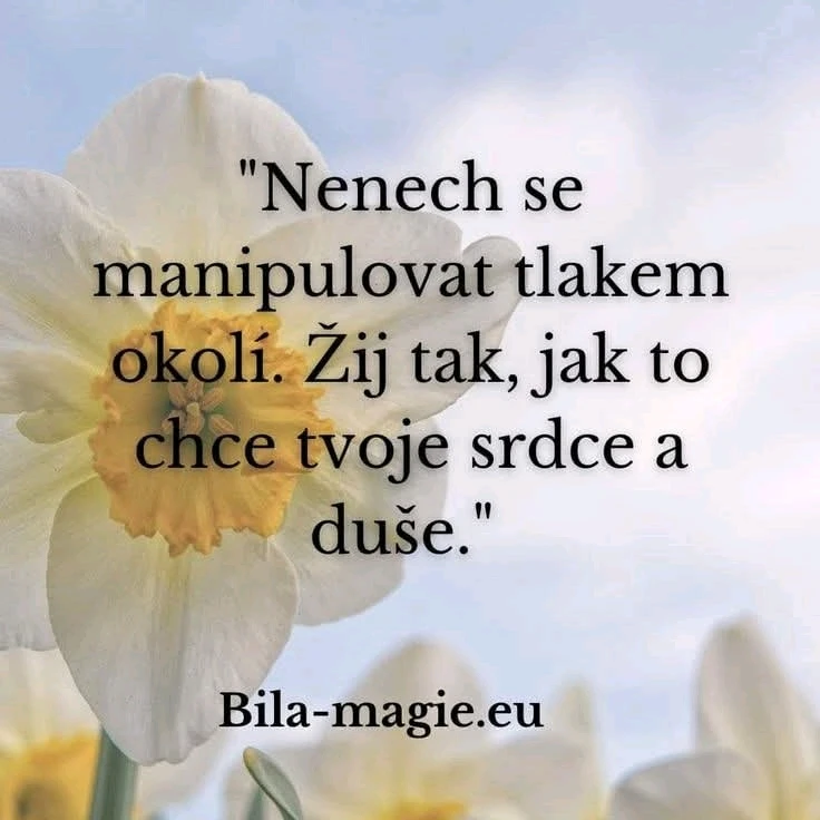 GIF nahrál ©️Iva 🦉