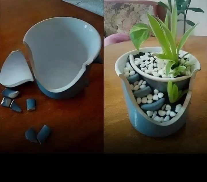 GIF uploaded by Gentle Giant