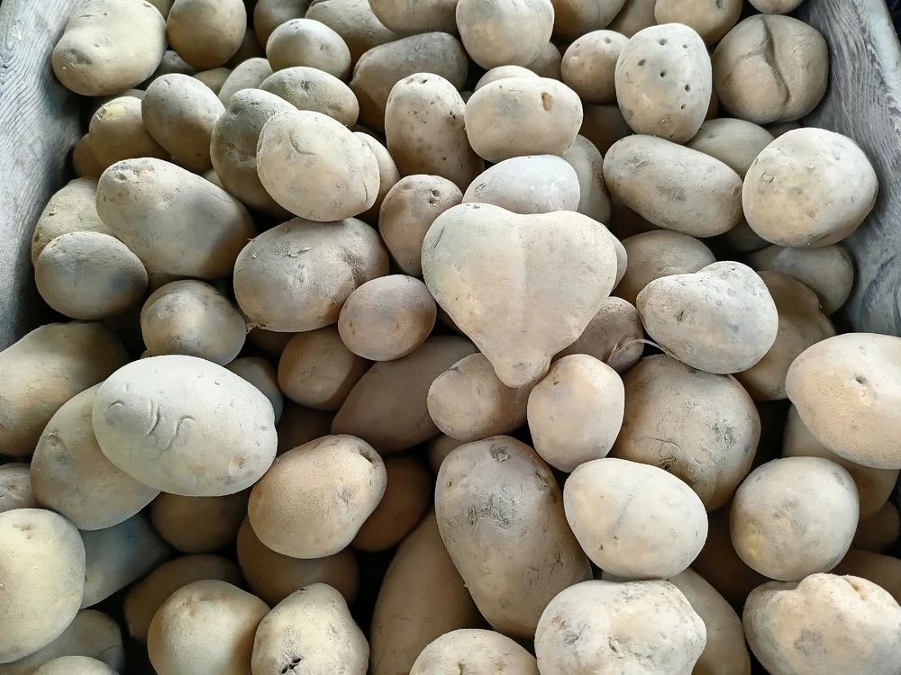 GIF uploaded by Sofia