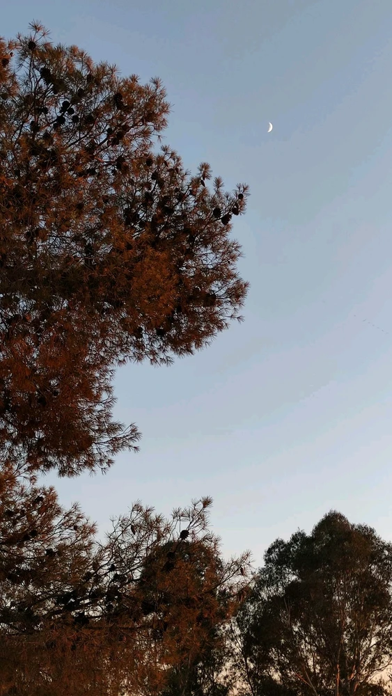 GIF uploaded by Kenza