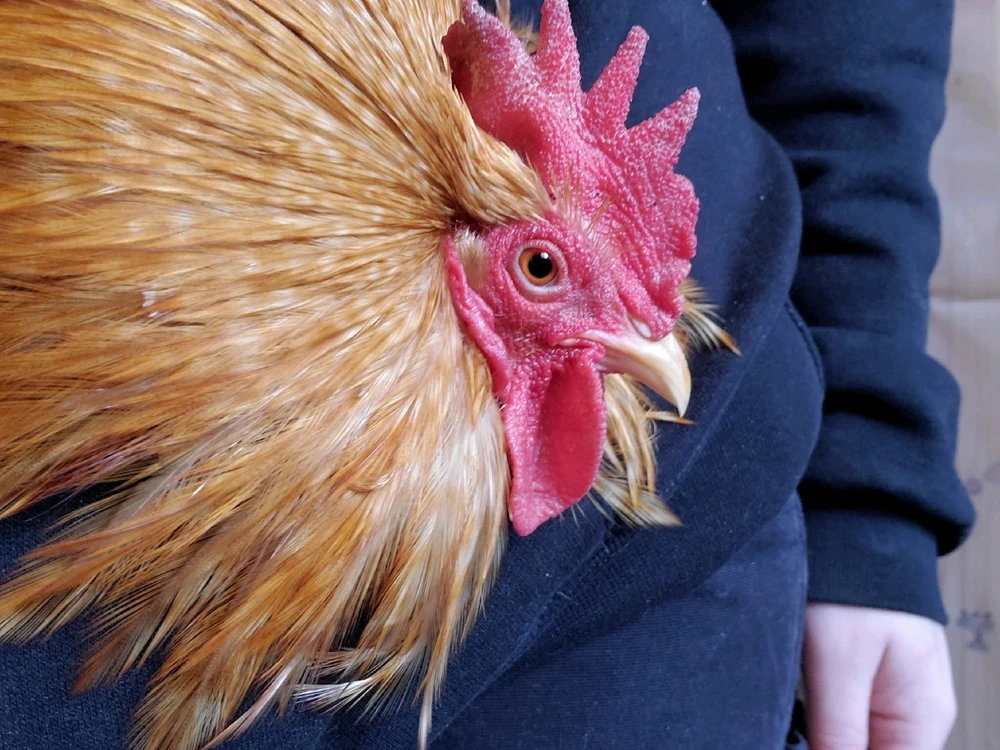 GIF uploaded by Bella