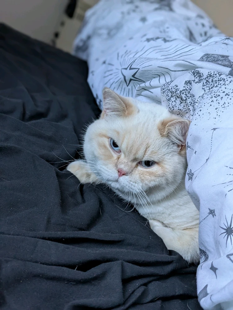 Gambar diunggah dening Nathan