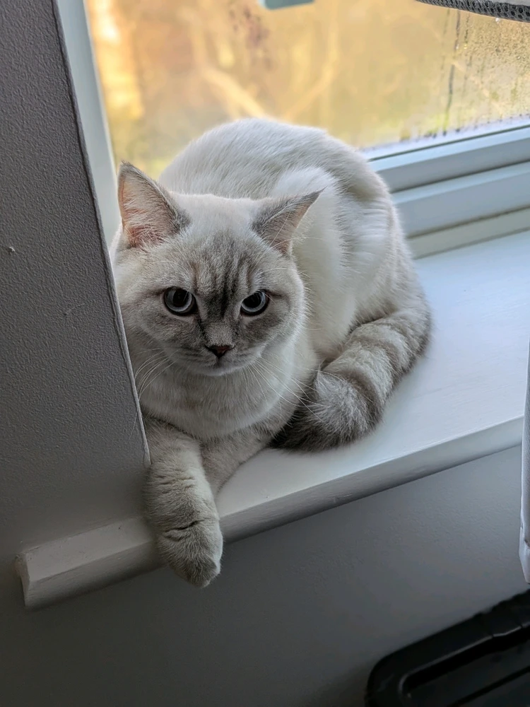 Gambar diunggah dening Nathan