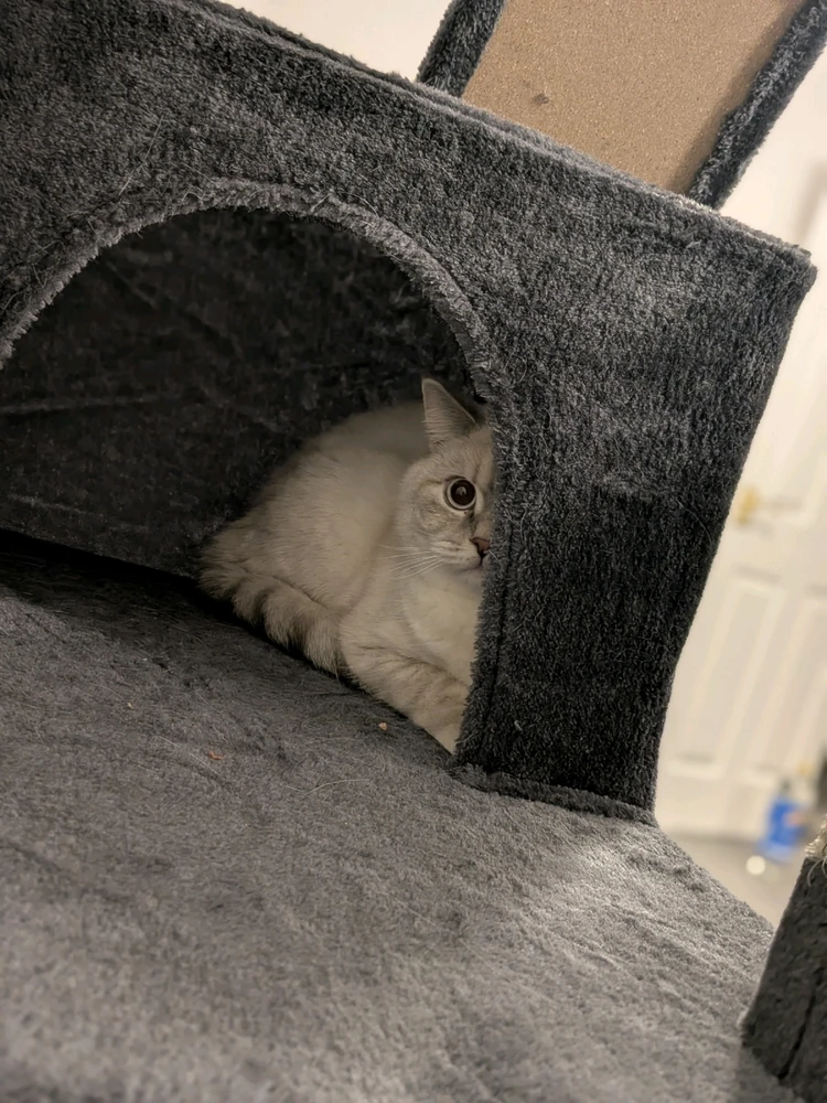 Gambar diunggah dening Nathan