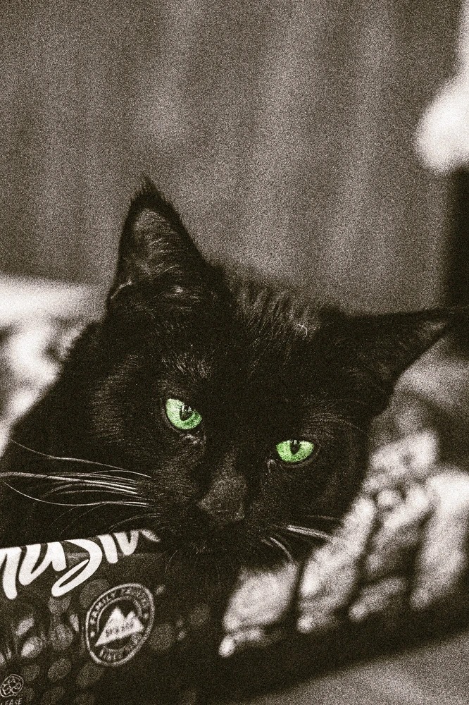 Image uploaded by Emmanuel