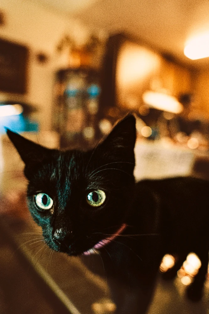 Image uploaded by Emmanuel