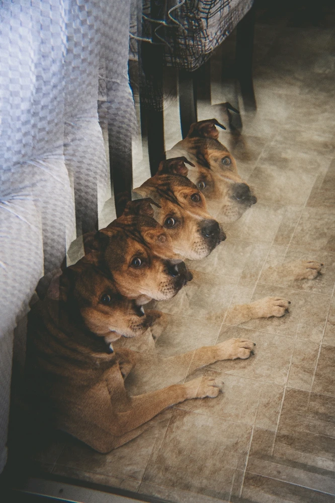 Image uploaded by Emmanuel