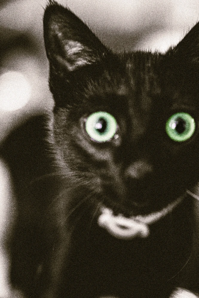 Image uploaded by Emmanuel