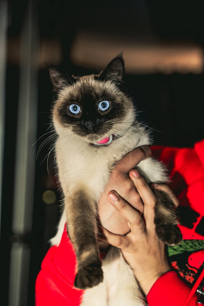 Image uploaded by Emmanuel