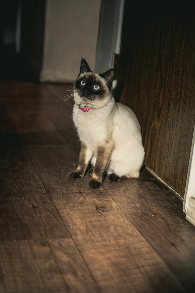 Image uploaded by Emmanuel