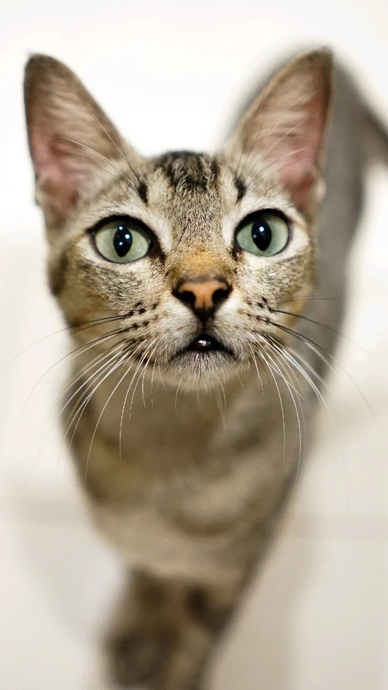 Image uploaded by Owen