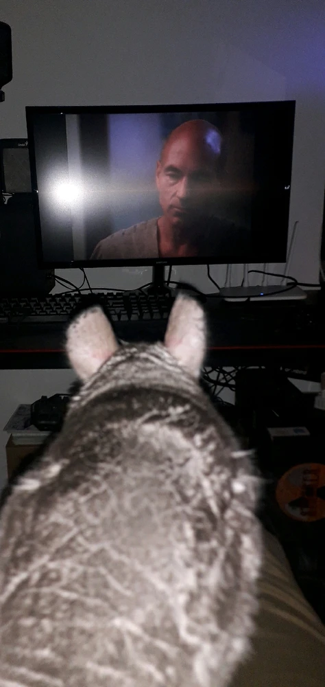 Гіфку завантажив Виталий