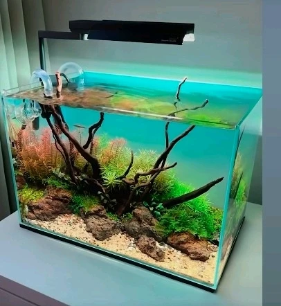 GIF subido por Eduardo