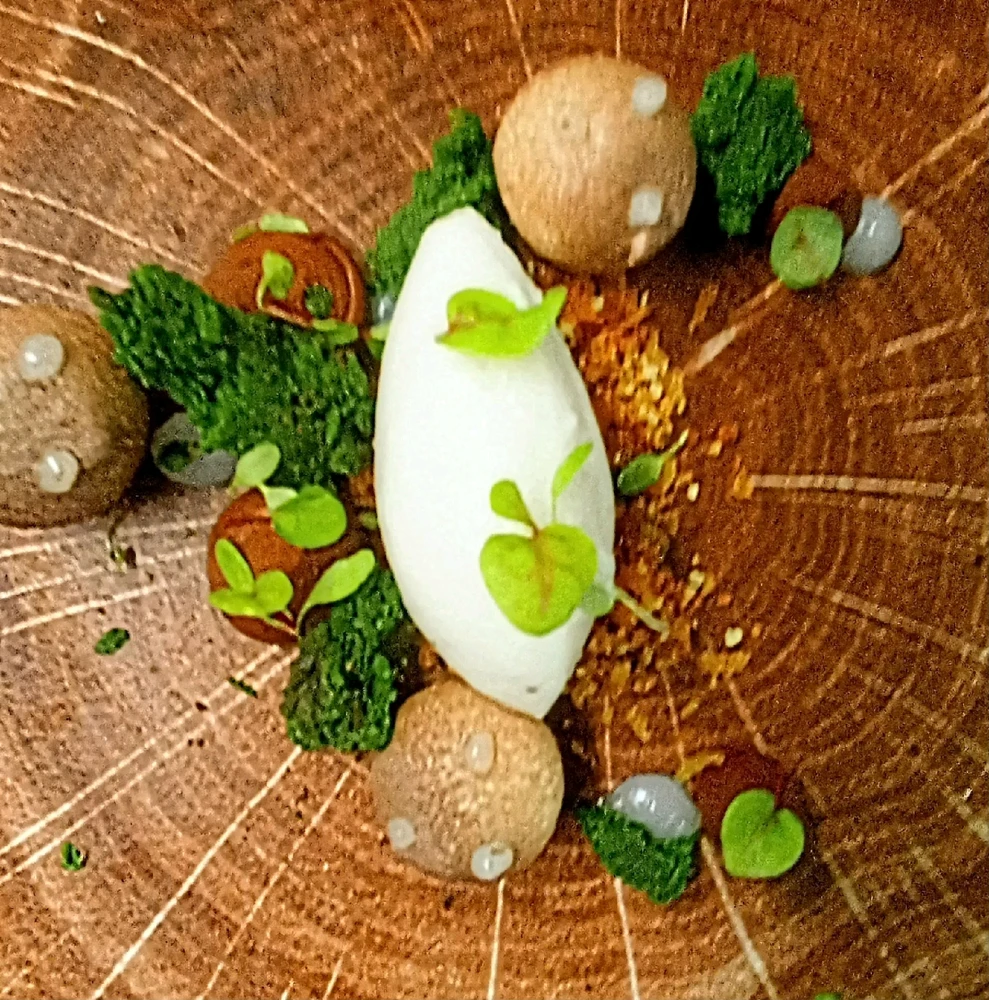 Balade acidulé autour de la truffe