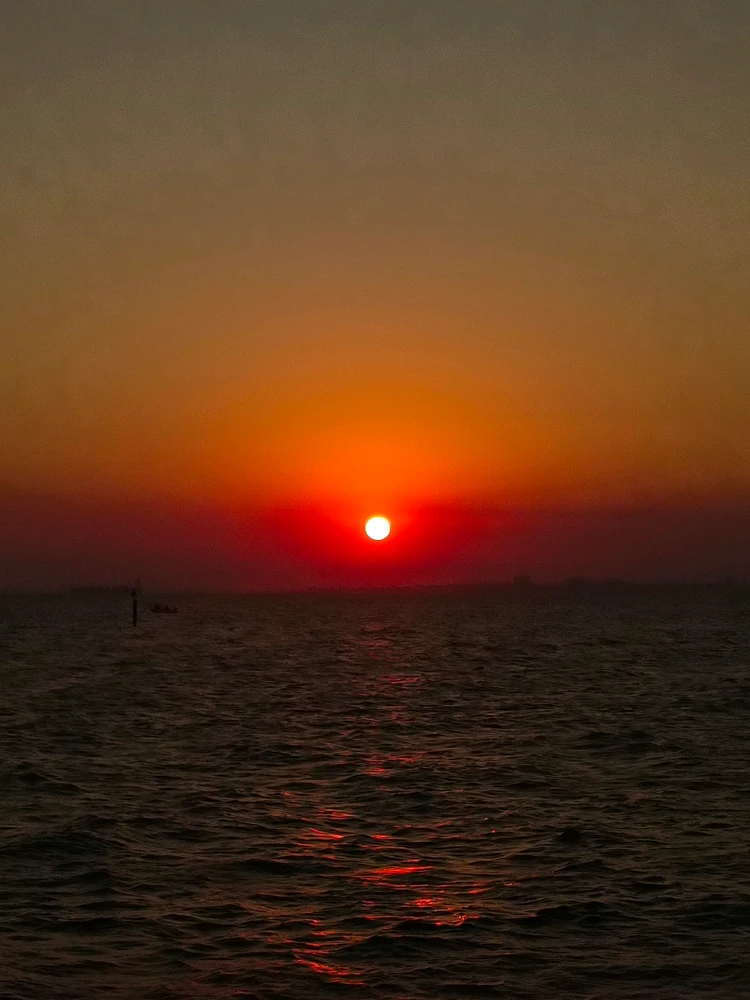 GIF uploaded by Siren