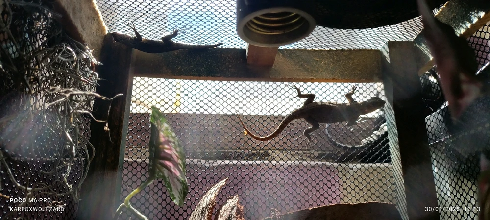 GIF subido por Joshua