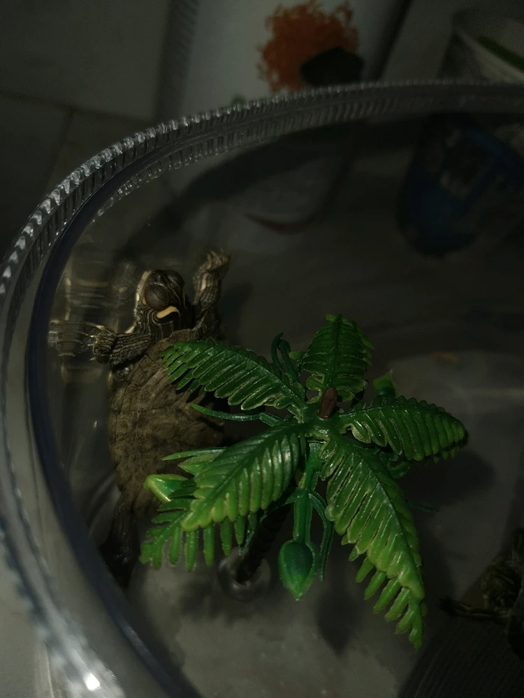 GIF ανέβηκε από Makis