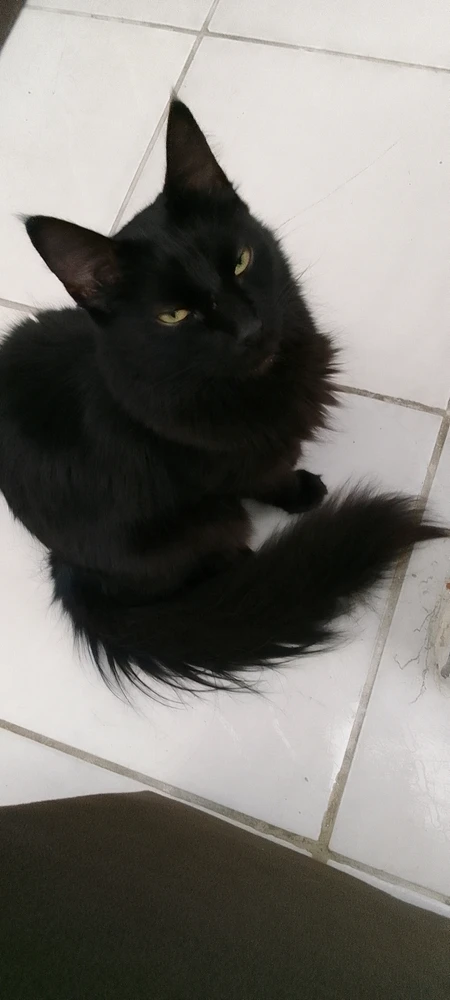 GIF enviado por Kelly