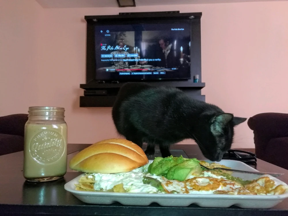 GIF uploaded by ❤ Sophia aka Mango Mami ❤️