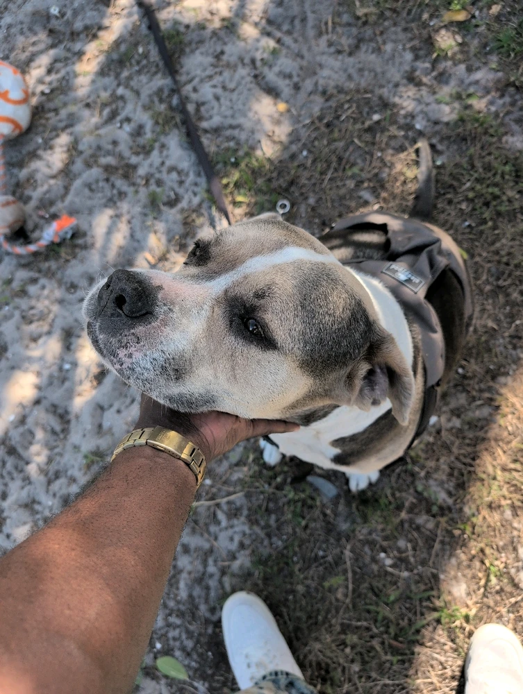 GIF uploaded by Randy