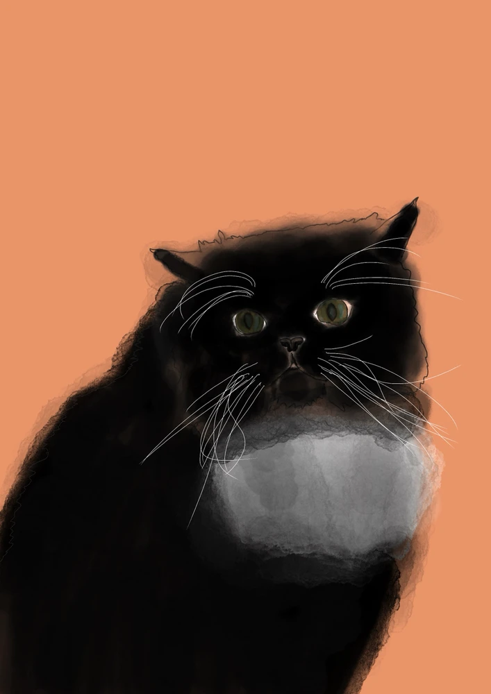 GIF качен от Svetoslav