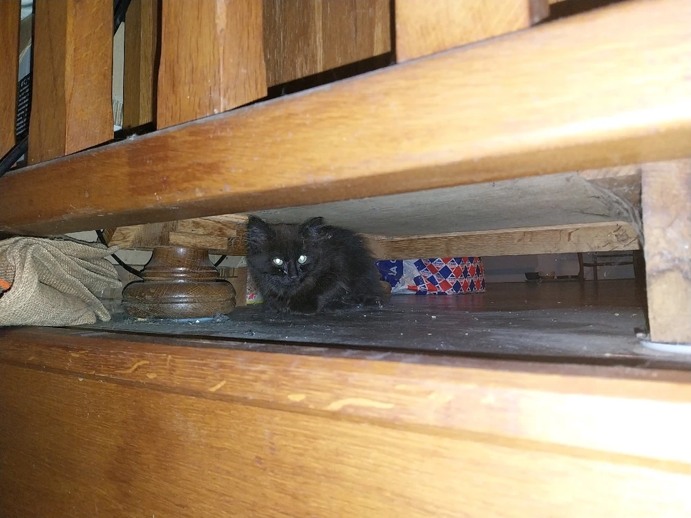 Image ajoutée par Ludo