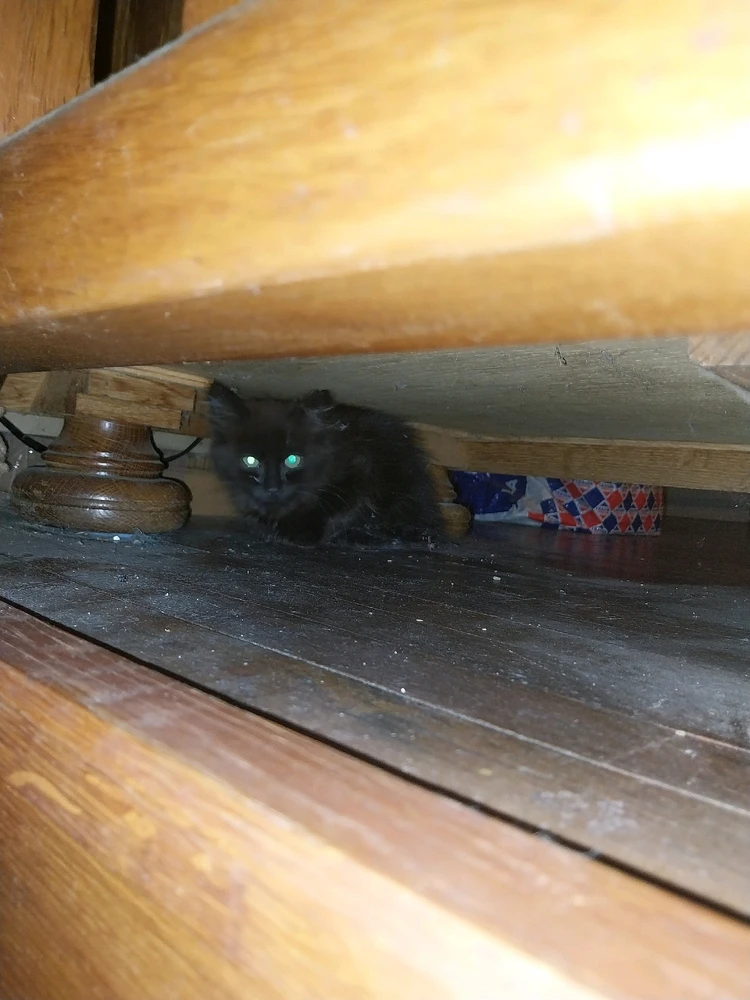 Image ajoutée par Ludo