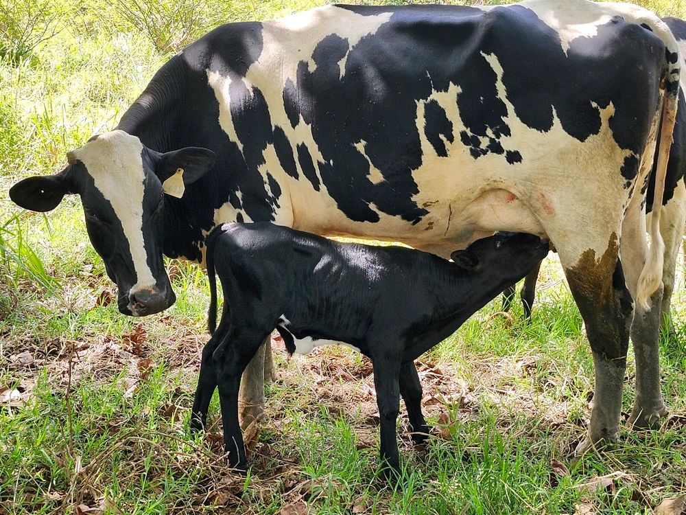 GIF uploaded by Luis