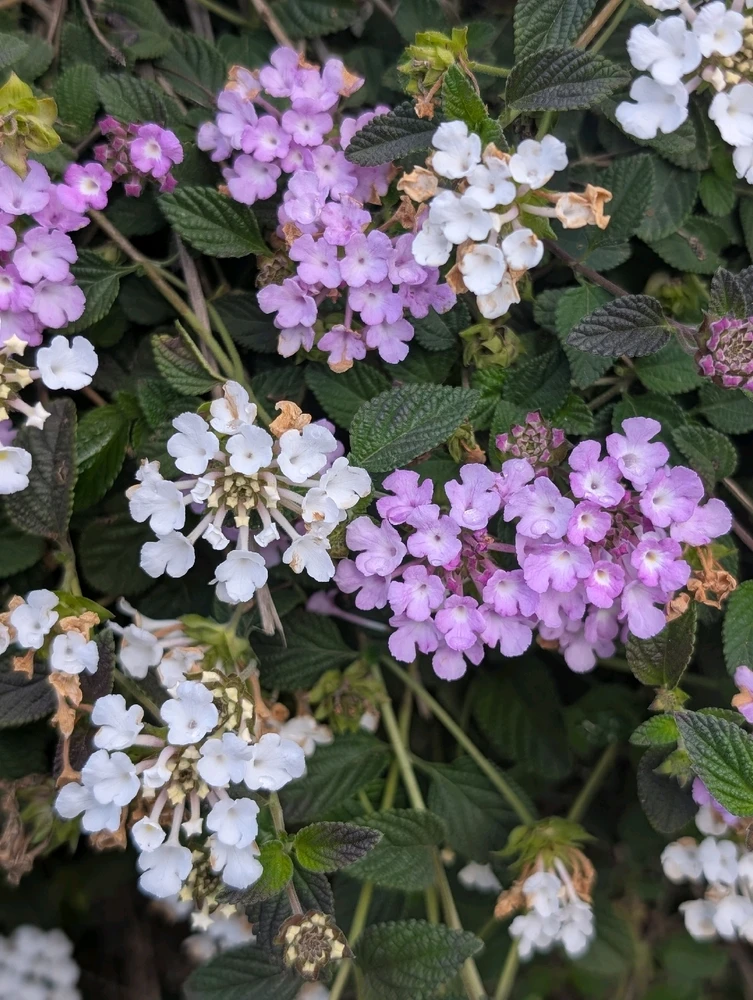 GIF uploaded by Aviv