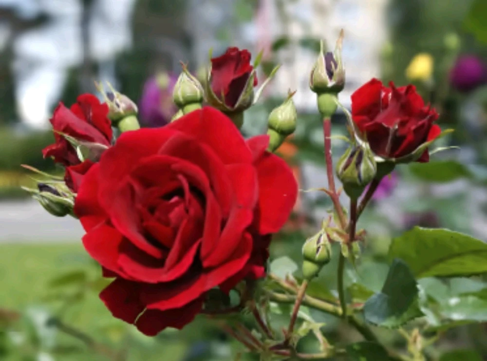 GIF caricata da I'm_light