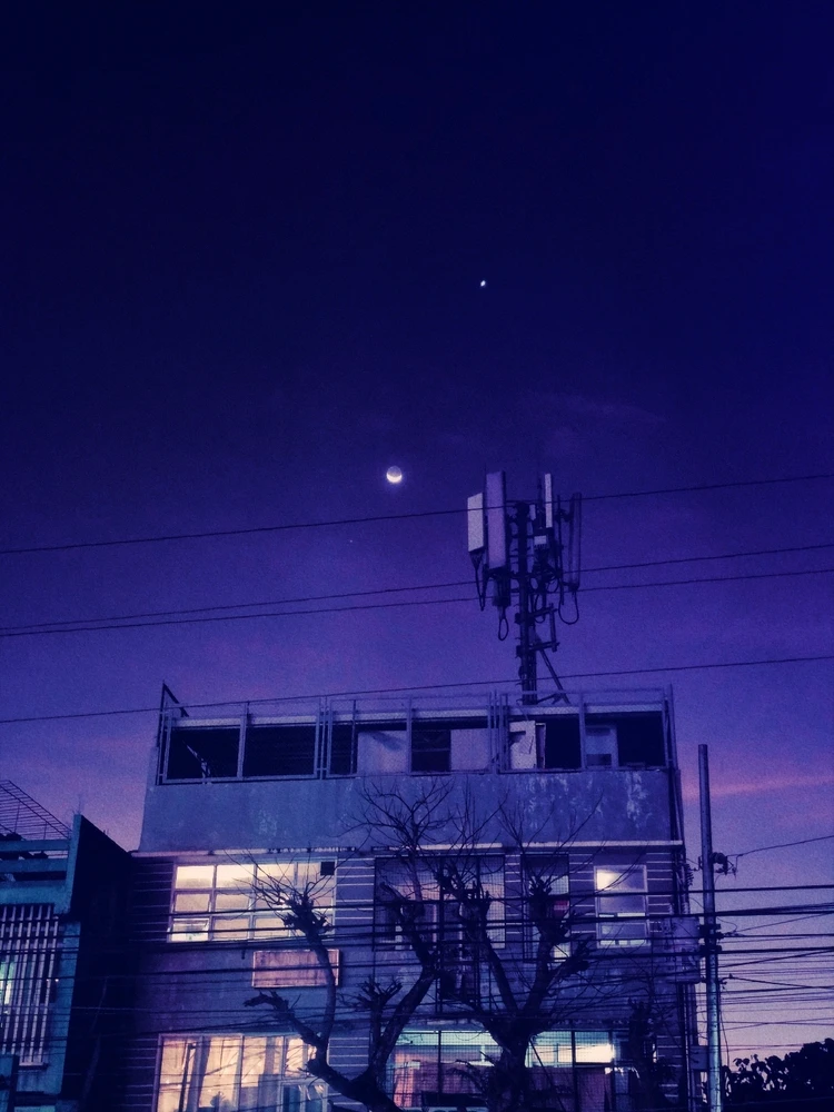 Image uploaded by Jin