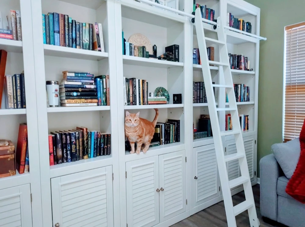 Image uploaded by Melissa