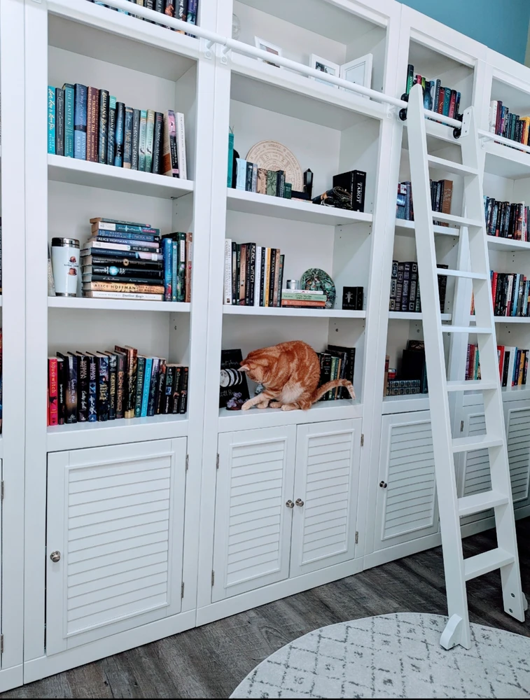 Image uploaded by Melissa