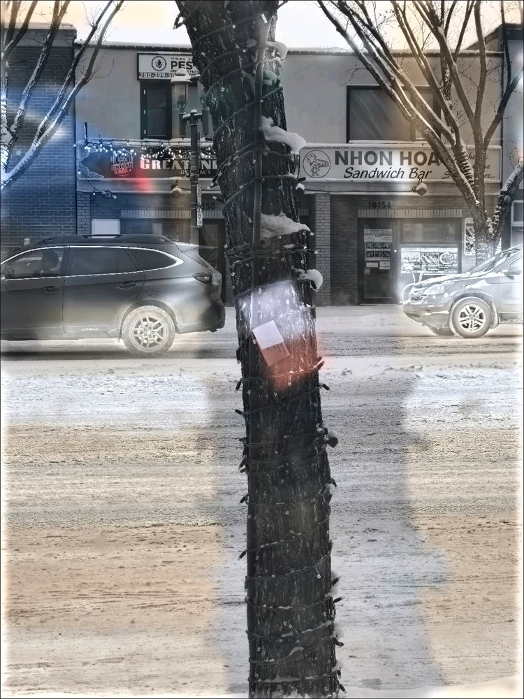 Image uploaded by Meg