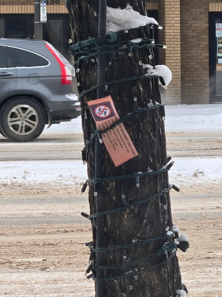 Image uploaded by Meg